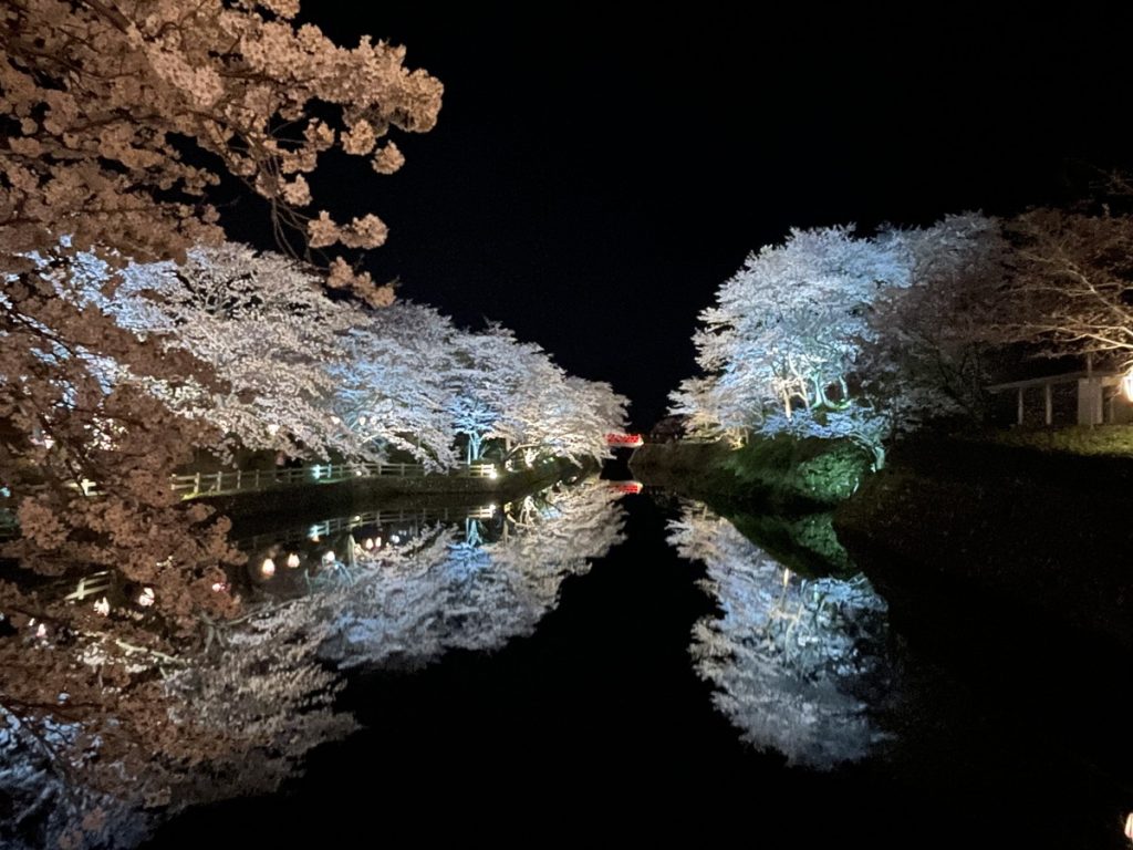 鳥取　桜　スポット　観光