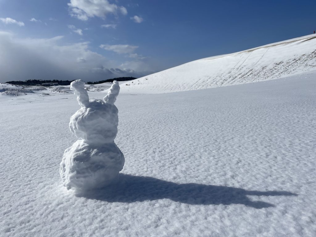 鳥取砂丘　観光　鳥取　絶景　雪　冬
銀世界　写真　カメラ　雪だるま
