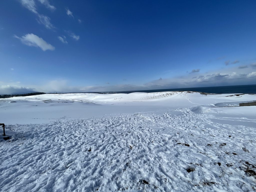 鳥取砂丘　観光　鳥取　絶景　雪　冬
銀世界　写真　カメラ