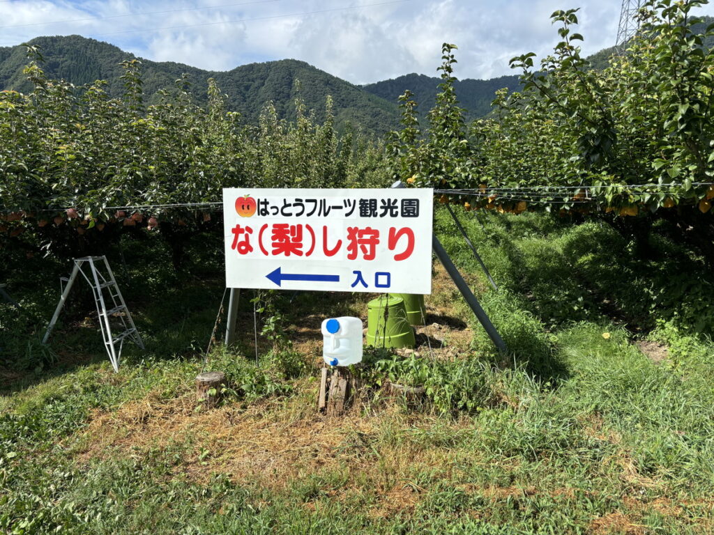 梨狩り　なし狩り　はっとうフルーツ観光園　鳥取梨狩り　岡山フルーツ狩り　大阪フルーツ狩り　大阪関西万博　秋　季節のイベント