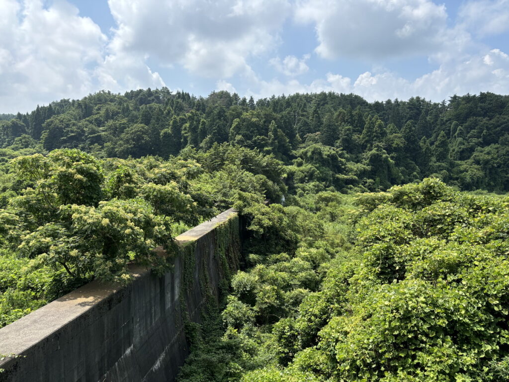 大山Gビール　ビール工場　ビール工場見学　ブルワリー見学　鳥取の工場見学　ビアホフガンバリウス　ガンバリウス　ビール飲み放題　大人の工場見学