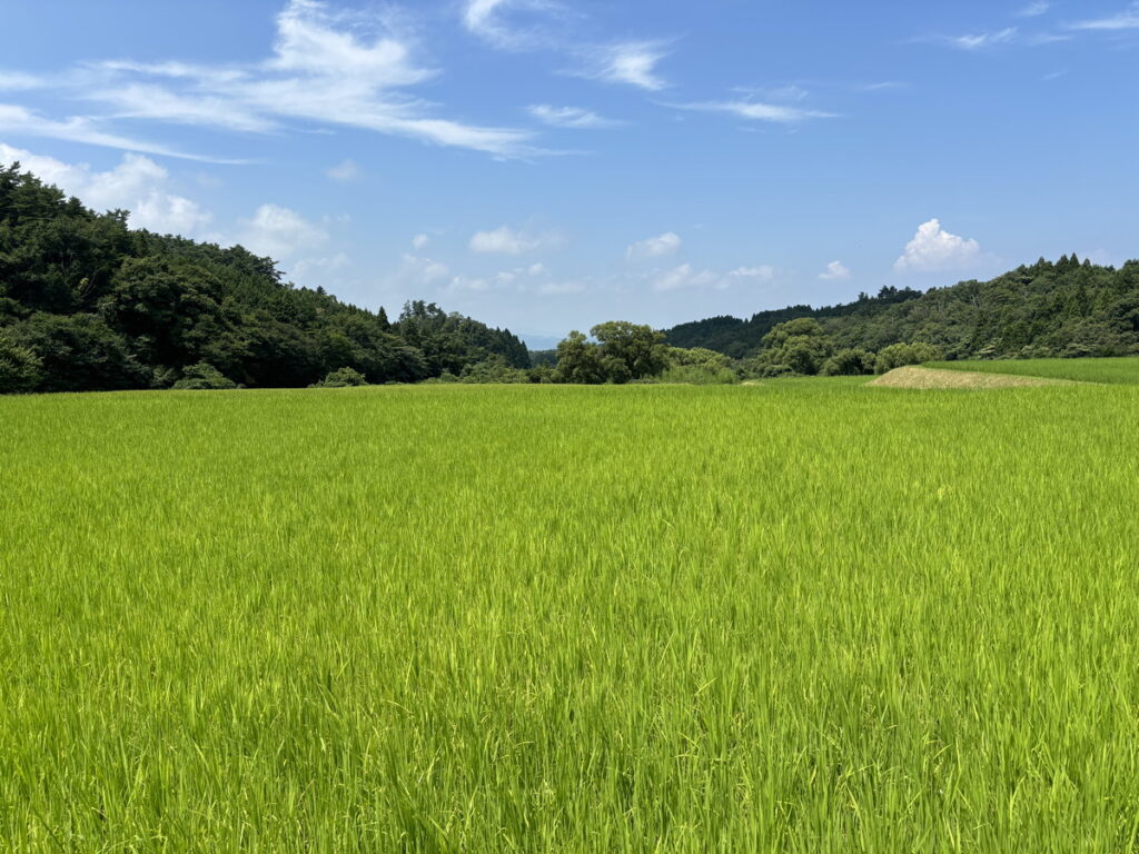 大山Gビール　ビール工場　ビール工場見学　ブルワリー見学　鳥取の工場見学　ビアホフガンバリウス　ガンバリウス　ビール飲み放題　大人の工場見学