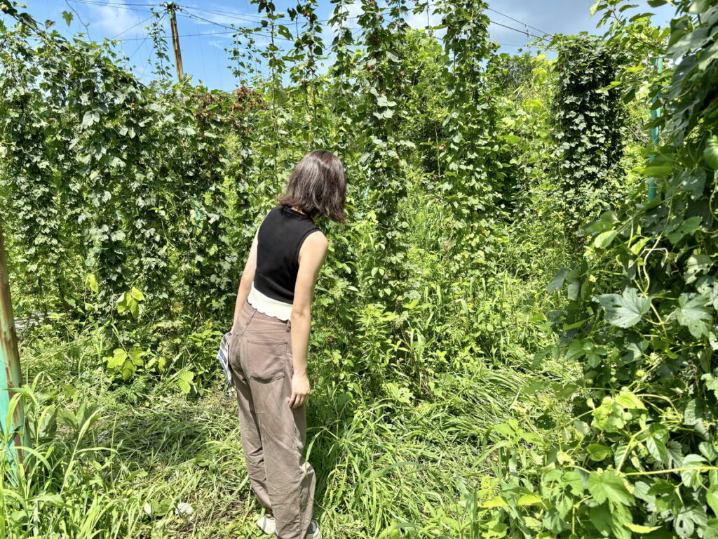 大山Gビール　ビール工場　ビール工場見学　ブルワリー見学　鳥取の工場見学　ビアホフガンバリウス　ガンバリウス　ビール飲み放題　大人の工場見学