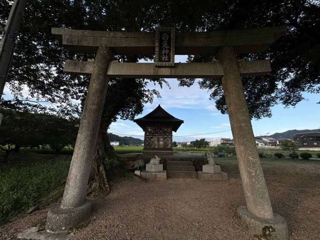 白兎神社　福本白兎神社　鳥取神社　人気の神社　ウサギの聖地　ウサギの神社　ウサギみくじ　おみくじ　白兎神社　御朱印　御朱印長　御朱印集め