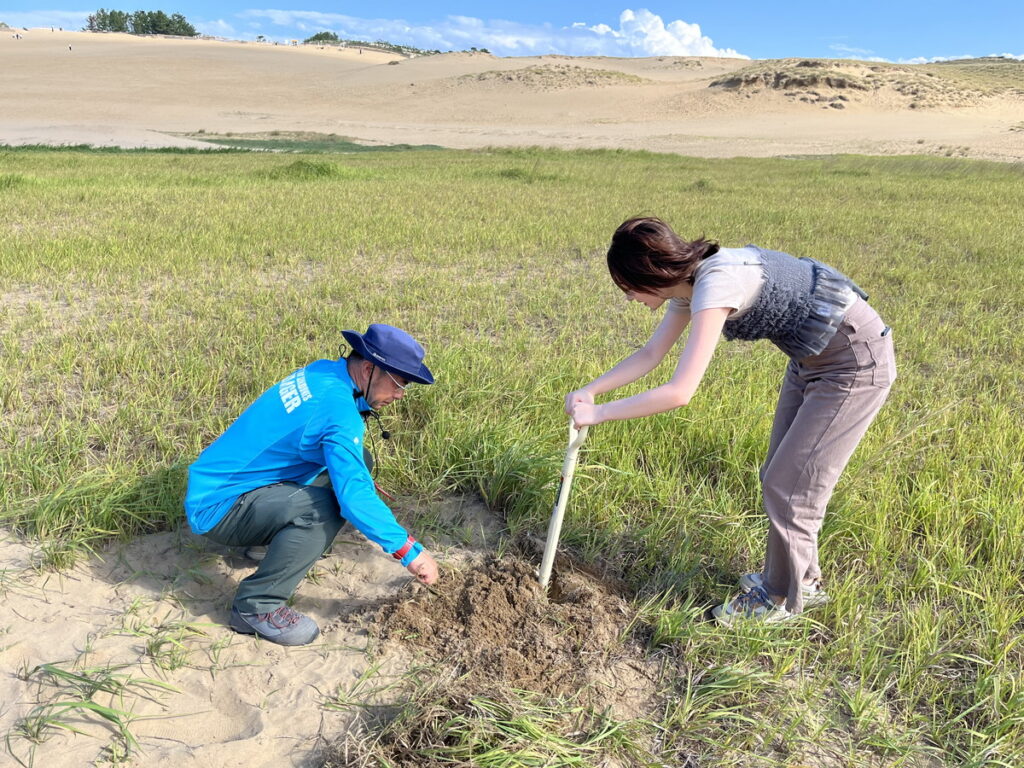 さじかみんぐ　鳥取砂丘　因州和紙　和紙　紙漉き体験　体験メニュー　伝統文化　SDGs　雑草の活用　チガヤ　外来種