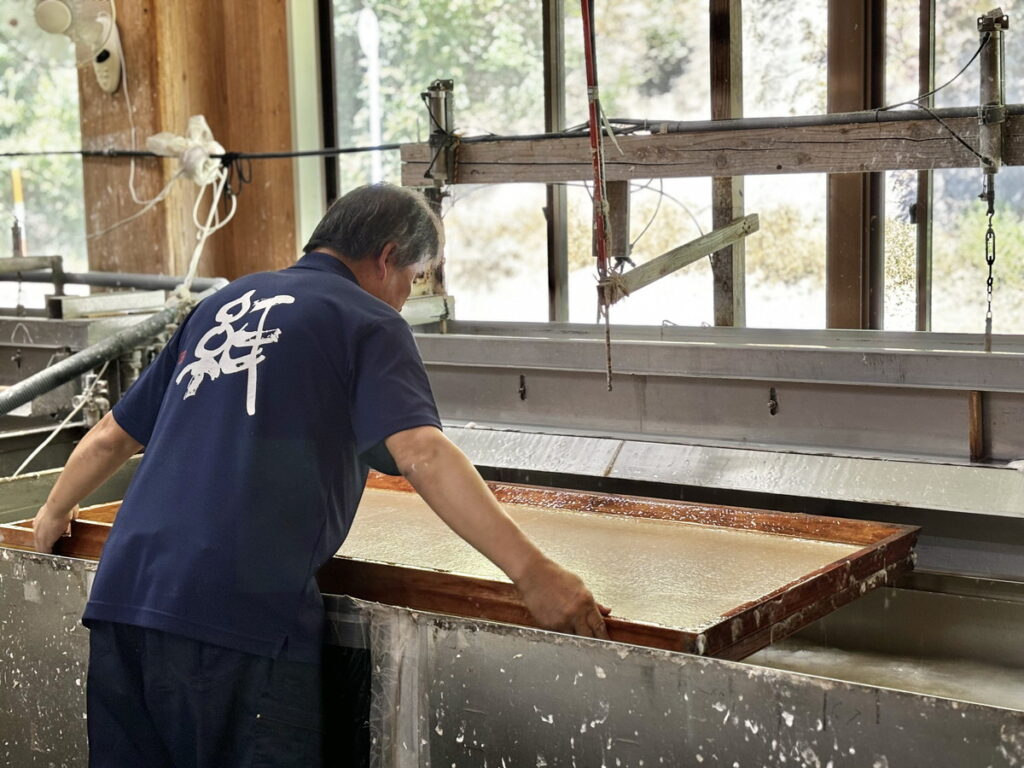 さじかみんぐ　鳥取砂丘　因州和紙　和紙　紙漉き体験　体験メニュー　伝統文化　SDGs　雑草の活用　チガヤ　外来種