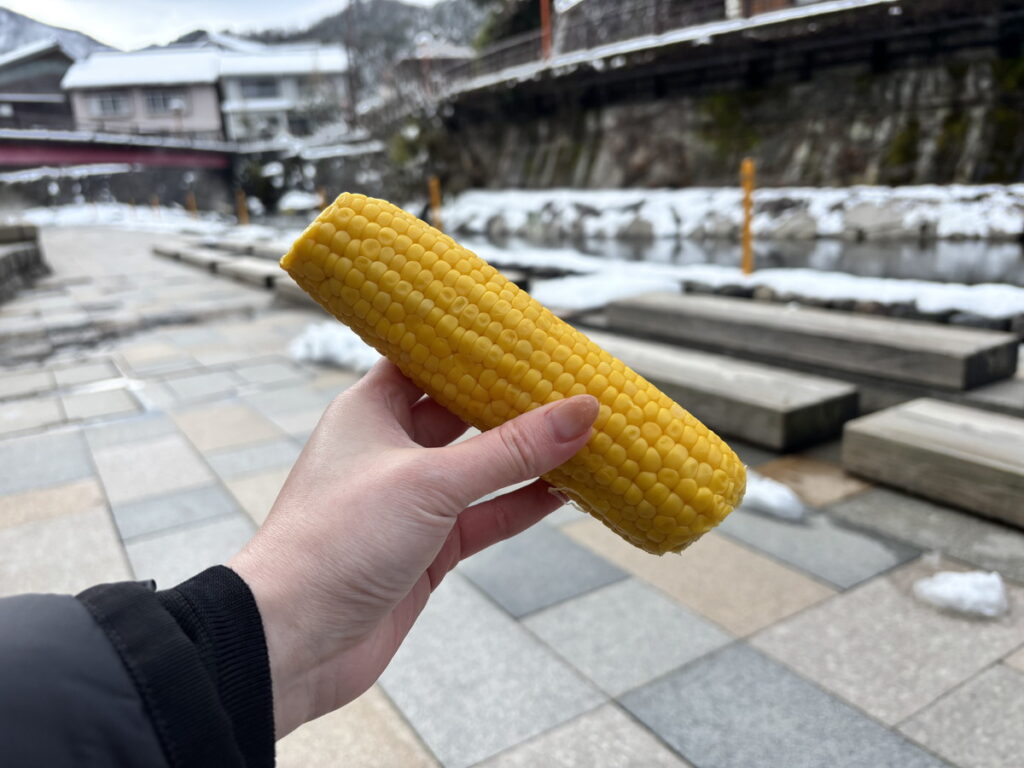 湯村温泉　湯村　新温泉町　兵庫　兵庫観光　鳥取観光　雪景色　雪見風呂