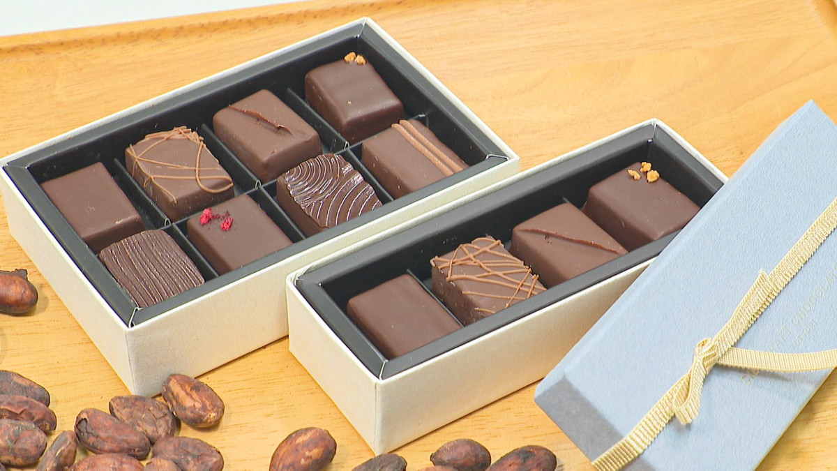 チョコ様 まとめご依頼品 CIEL CRAFT CHOCOLATE TOTTORI】産地によって味も香りも違う