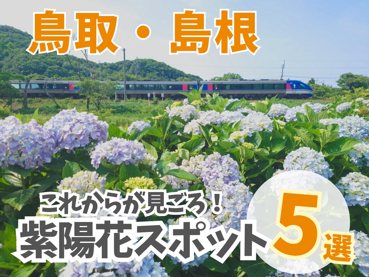 鳥取・島根】これから見ごろを迎えるあじさいの名所5選！海の見える