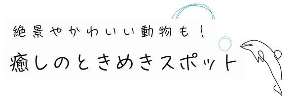 自然や動物を楽しむ癒しスポット