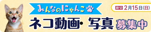 猫の日投稿企画募集バナー"